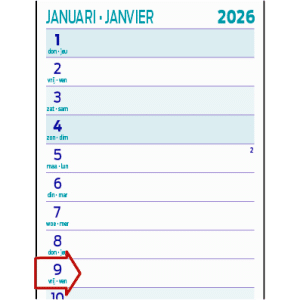 Strookkalender Midi 2026 - Detail