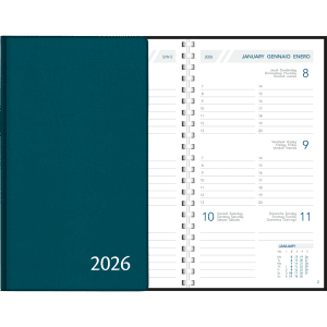 Zakagenda Visuplan 2026 perl blauwgroen