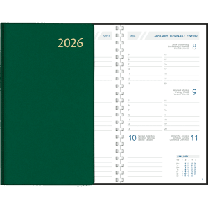 Zakagenda Visuplan 2026 perl groen