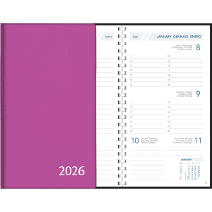Zakagenda Visuplan 2026 perl purper