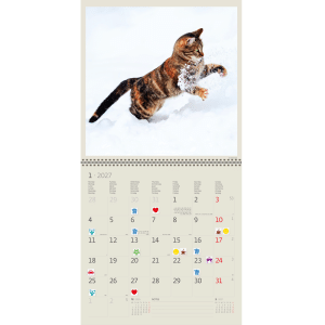 Muurkalender Cats 2027 - Januari