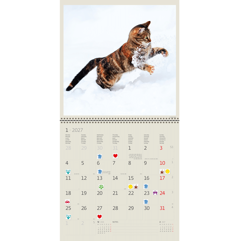 Muurkalender Cats 2027 - Januari Muurkalender Cats 2027 - Januari
