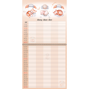 Muurkalender Family Planner 2027 - Januari volledig
