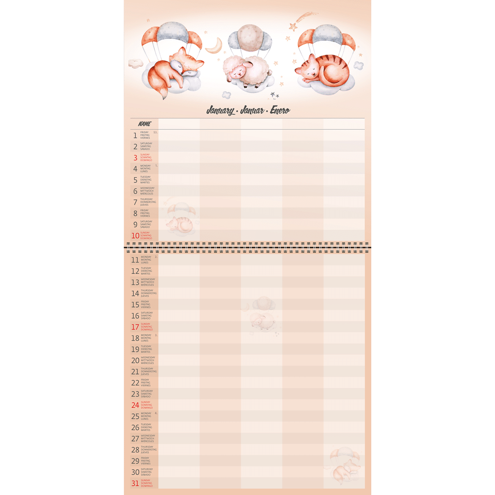 Muurkalender Family Planner 2027 - Januari volledig Muurkalender Family Planner 2027 - Januari volledig