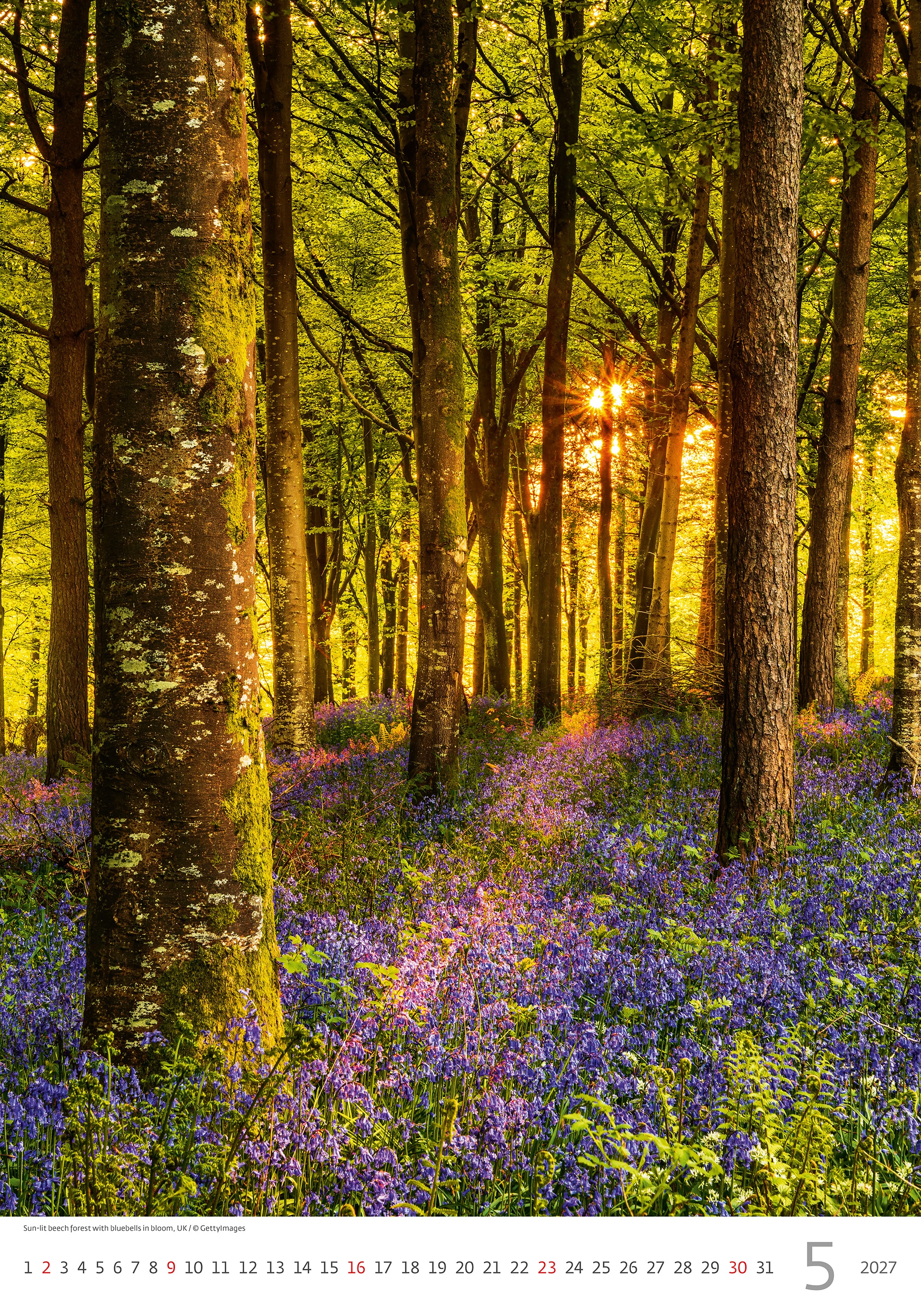 Muurkalender Nature Emotions 2027 - Mei Muurkalender Nature Emotions 2027 - Mei