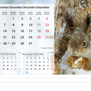 Kantoorkalender Beautiful Nature 2027 - December