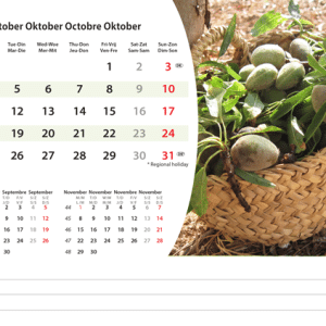 Kantoorkalender Mediterranean 2027 - Oktober