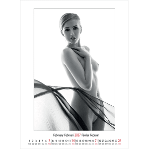 Muurkalender pin-up Female Art 2027 - Februari