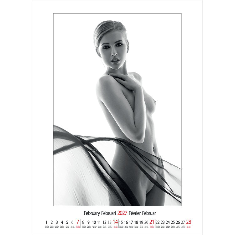 Muurkalender pin-up Female Art 2027 - Februari Muurkalender pin-up Female Art 2027 - Februari