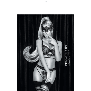 Muurkalender Pin-up Female Art 2027
