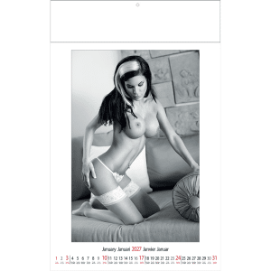 Muurkalender pin-up Female Art 2027 - Januari