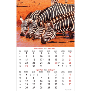 Muurkalender Wildlife 2027 - Maart