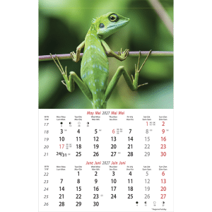 Muurkalender Wildlife 2027 - Mei
