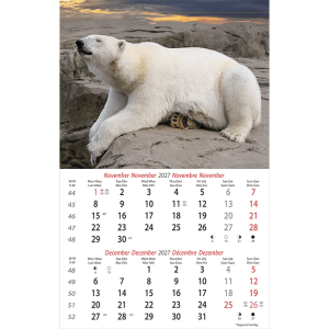Muurkalender Wildlife 2027 - November