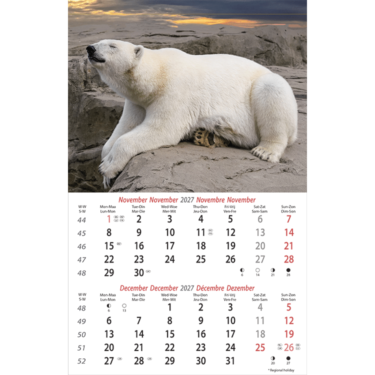 Muurkalender Wildlife 2027 - November Muurkalender Wildlife 2027 - November