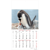 Muurkalender Wildlife 2027