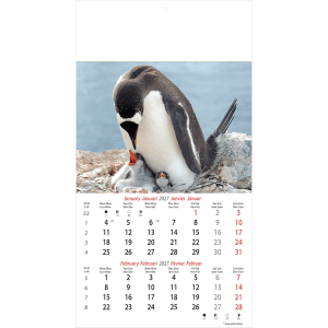 Muurkalender Wildlife 2027