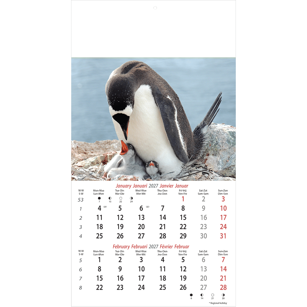 Muurkalender Wildlife 2027 Muurkalender Wildlife 2027