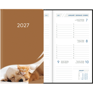 Visuplan 2027 Hardcover bruin