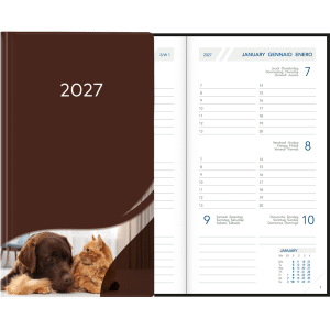 Visuplan 2027 Hardcover donkerbruin